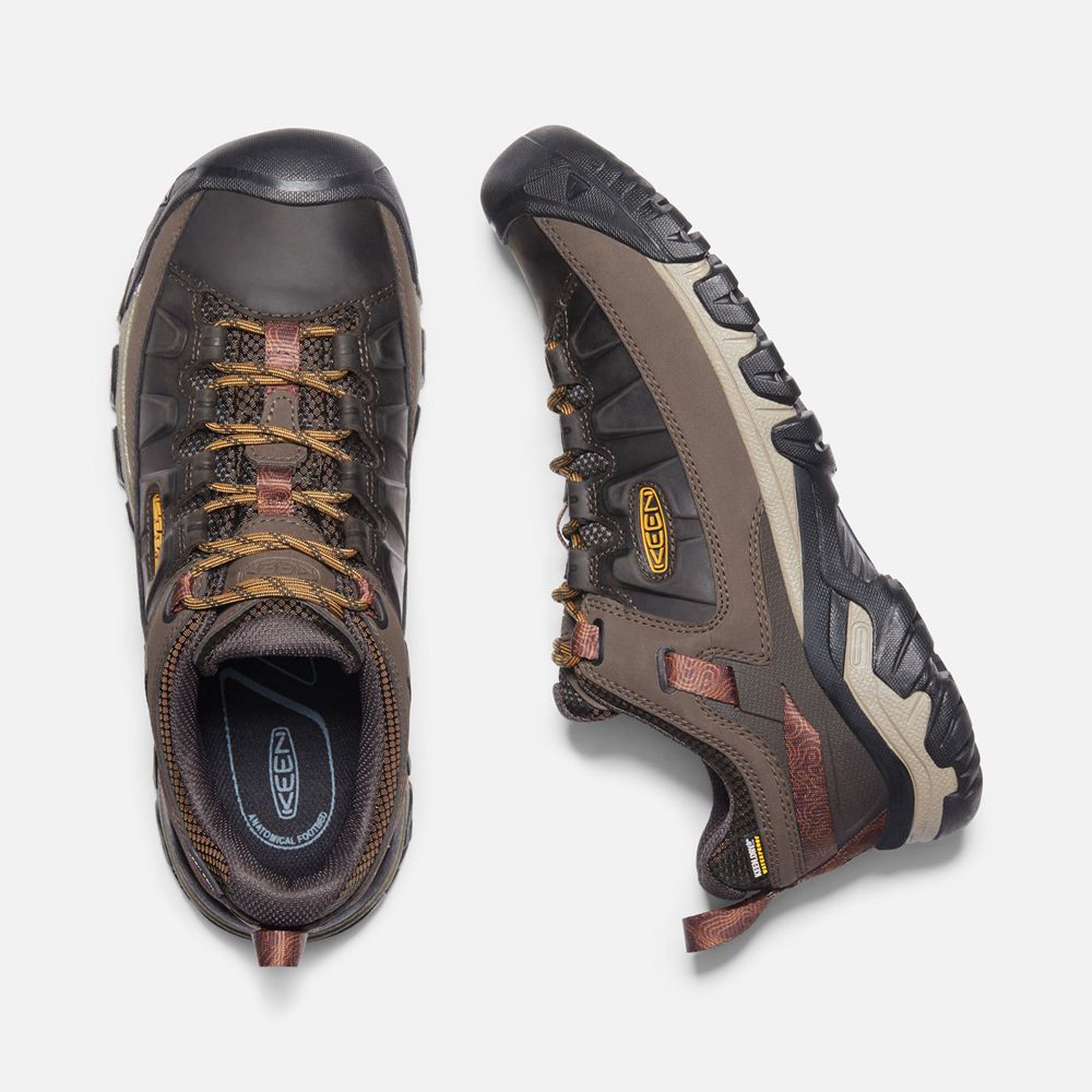 Chaussure de Randonnée Keen Homme Marron/Orange | Targhee Iii Waterproof | EJYVG-0823